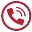 Phone Icon